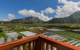 Teras Sawah Guest House Syariah